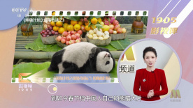 丝袜撕破有美女的肉体