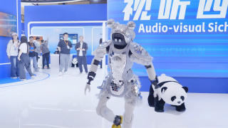 国产中文在线观看